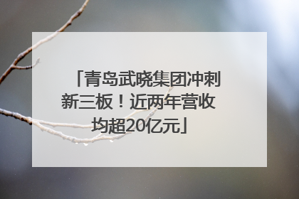 青岛武晓集团冲刺新三板！近两年营收均超20亿元