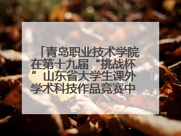 青岛职业技术学院在第十九届“挑战杯”山东省大学生课外学术科技作品竞赛中斩获佳绩