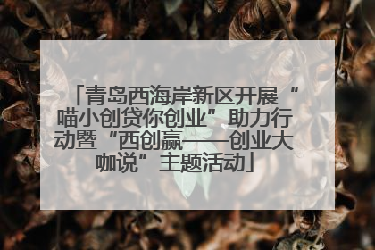 青岛西海岸新区开展“喵小创贷你创业”助力行动暨“西创赢——创业大咖说”主题活动