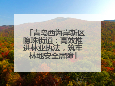 青岛西海岸新区隐珠街道：高效推进林业执法，筑牢林地安全屏障