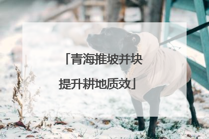 青海推坡并块提升耕地质效