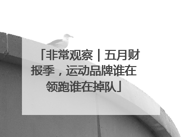 非常观察｜五月财报季，运动品牌谁在领跑谁在掉队