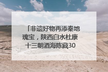 非遗好物再添秦地瑰宝，陕西白水杜康十三朝酒海陈藏30年别具一格