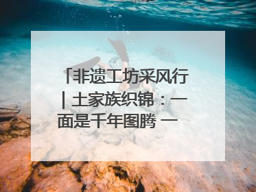 非遗工坊采风行｜土家族织锦：一面是千年图腾 一面是幸福画卷