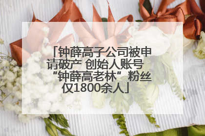 钟薛高子公司被申请破产 创始人账号“钟薛高老林”粉丝仅1800余人