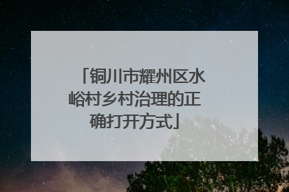 铜川市耀州区水峪村乡村治理的正确打开方式
