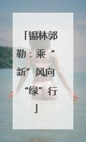 锡林郭勒：乘“新”风向“绿”行