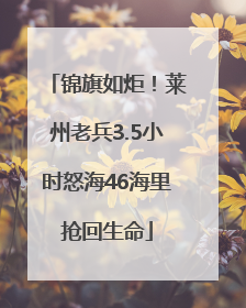 锦旗如炬！莱州老兵3.5小时怒海46海里抢回生命