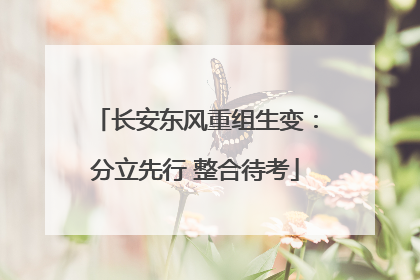 长安东风重组生变：分立先行 整合待考