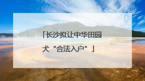 长沙拟让中华田园犬“合法入户”