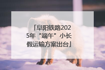 阜阳铁路2025年“端午”小长假运输方案出台