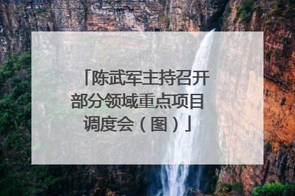 陈武军主持召开部分领域重点项目调度会（图）