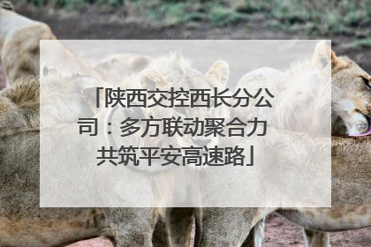 陕西交控西长分公司：多方联动聚合力 共筑平安高速路