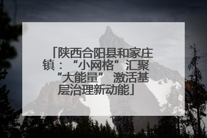 陕西合阳县和家庄镇：“小网格”汇聚“大能量” 激活基层治理新动能