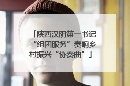 陕西汉阴第一书记“组团服务”奏响乡村振兴“协奏曲”