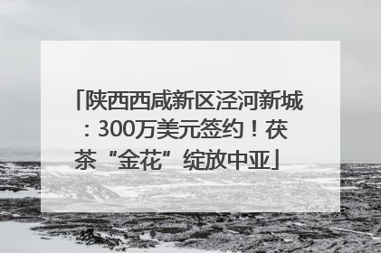 陕西西咸新区泾河新城：300万美元签约！茯茶“金花”绽放中亚