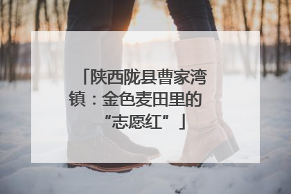 陕西陇县曹家湾镇：金色麦田里的“志愿红”