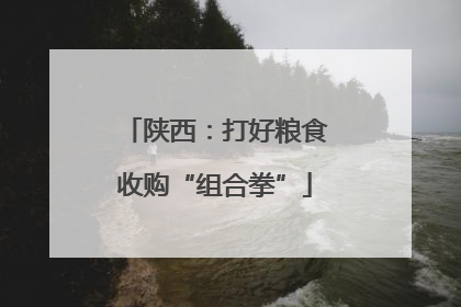 陕西：打好粮食收购“组合拳”