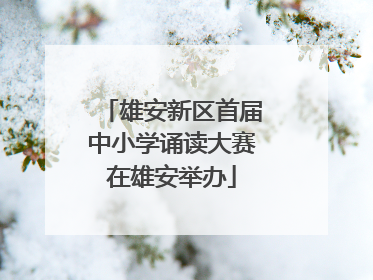 雄安新区首届中小学诵读大赛在雄安举办