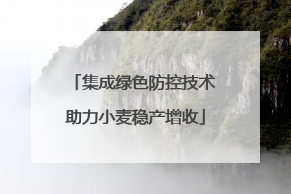 集成绿色防控技术助力小麦稳产增收