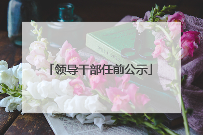 领导干部任前公示
