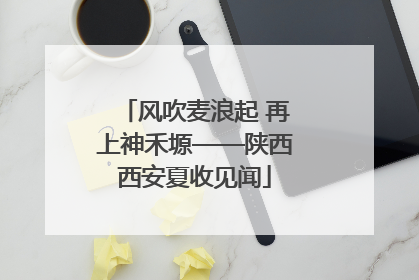 风吹麦浪起 再上神禾塬——陕西西安夏收见闻