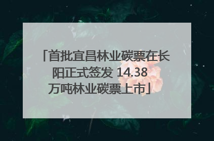 首批宜昌林业碳票在长阳正式签发 14.38万吨林业碳票上市