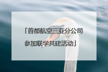首都航空三亚分公司参加联学共建活动