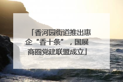 香河园街道推出惠企“香十条”，国展商圈党建联盟成立