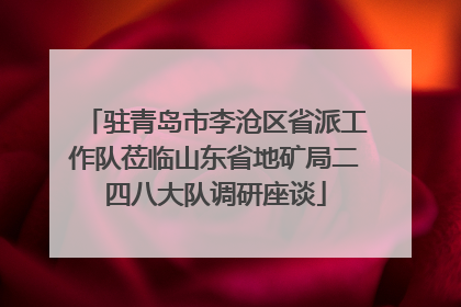 驻青岛市李沧区省派工作队莅临山东省地矿局二四八大队调研座谈
