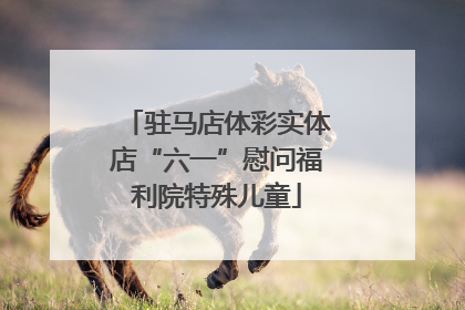 驻马店体彩实体店“六一”慰问福利院特殊儿童