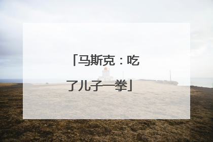 马斯克:吃了儿子一拳
