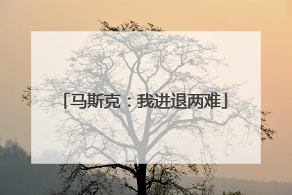 马斯克：我进退两难