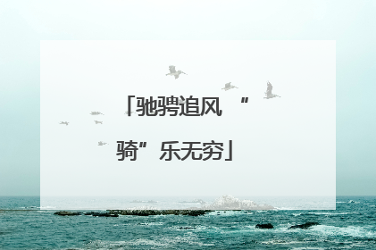驰骋追风 “骑”乐无穷