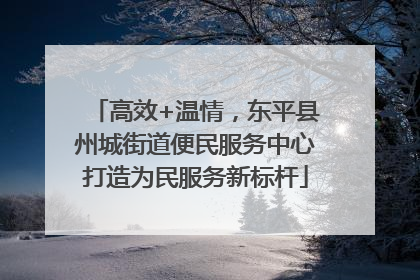 高效+温情，东平县州城街道便民服务中心打造为民服务新标杆