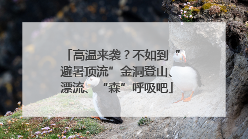 高温来袭？不如到“避暑顶流”金洞登山、漂流、“森”呼吸吧
