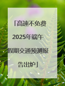 高速不免费 2025年端午假期交通预测报告出炉