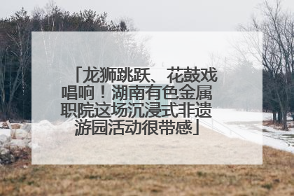 龙狮跳跃、花鼓戏唱响！湖南有色金属职院这场沉浸式非遗游园活动很带感