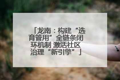 龙南：构建“选育管用”全链条闭环机制 激活社区治理“新引擎”