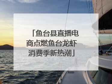 鱼台县直播电商点燃鱼台龙虾消费季新热潮