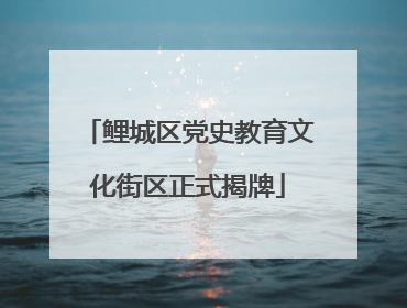 鲤城区党史教育文化街区正式揭牌