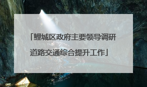 鲤城区政府主要领导调研道路交通综合提升工作