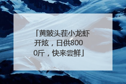 黄陂头茬小龙虾开炫，日供8000斤，快来尝鲜