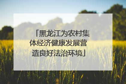黑龙江为农村集体经济健康发展营造良好法治环境
