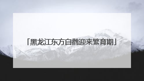 黑龙江东方白鹳迎来繁育期
