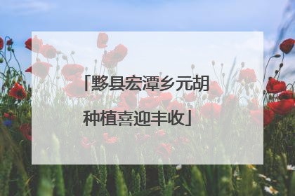 黟县宏潭乡元胡种植喜迎丰收