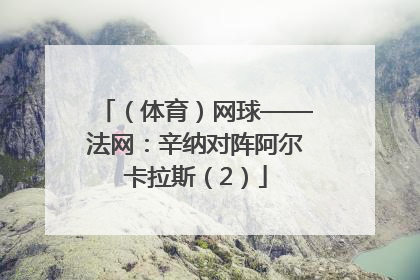 （体育）网球——法网：辛纳对阵阿尔卡拉斯（2）