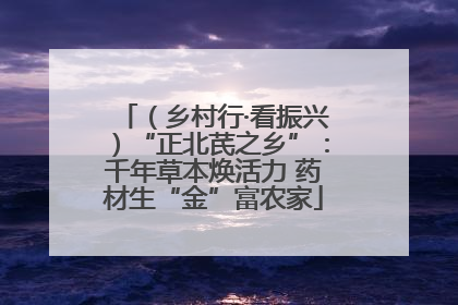 （乡村行·看振兴）“正北芪之乡”：千年草本焕活力 药材生“金”富农家