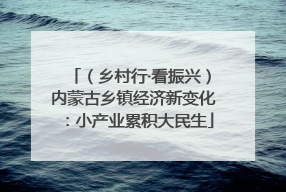 (乡村行·看振兴)内蒙古乡镇经济新变化:小产业累积大民生