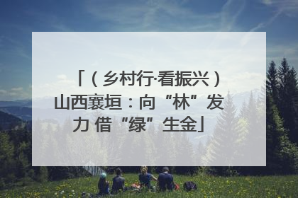 （乡村行·看振兴）山西襄垣：向“林”发力 借“绿”生金